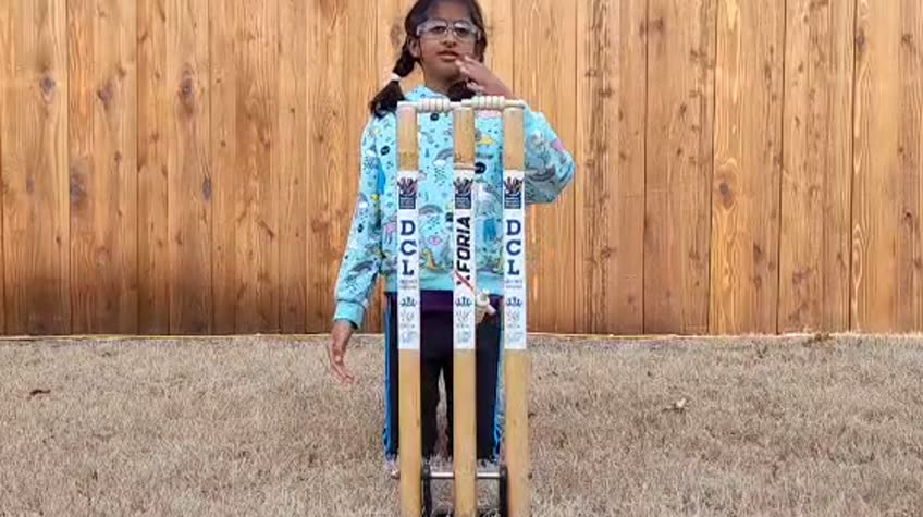 A backyard with a wooden fence and dry winter grass: a child stands behind a set of stumps fitted with an early collar and tether.